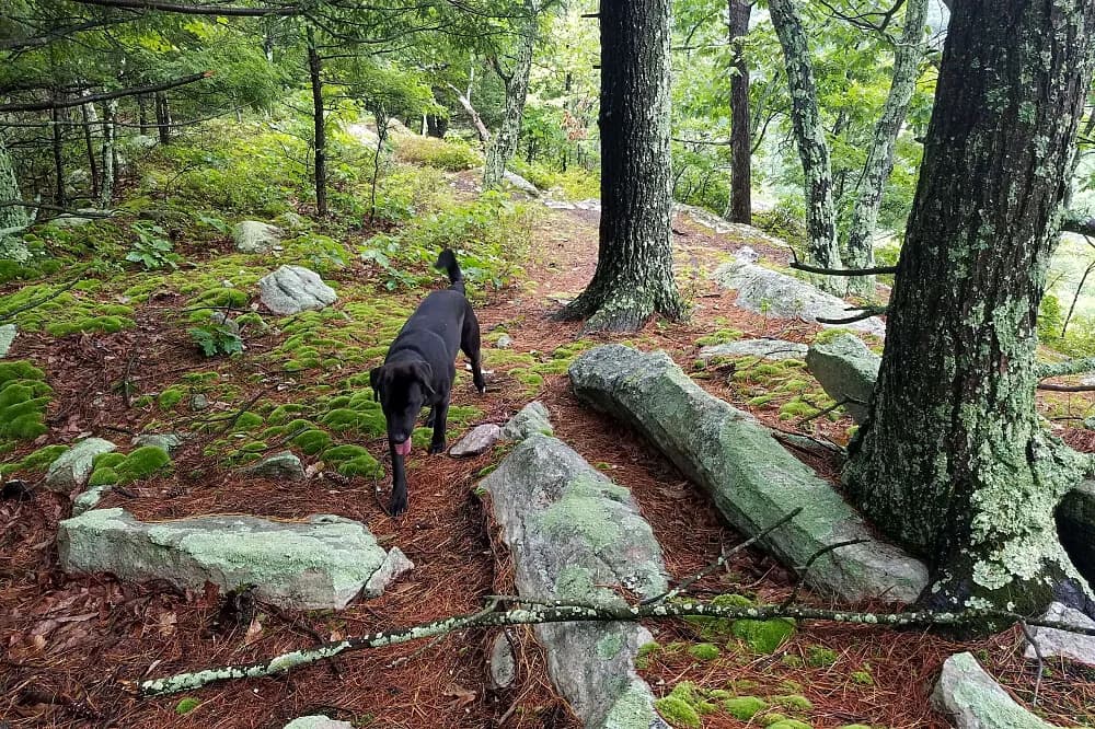 Wellness pobyt na 4 dny · Rosendale, USA