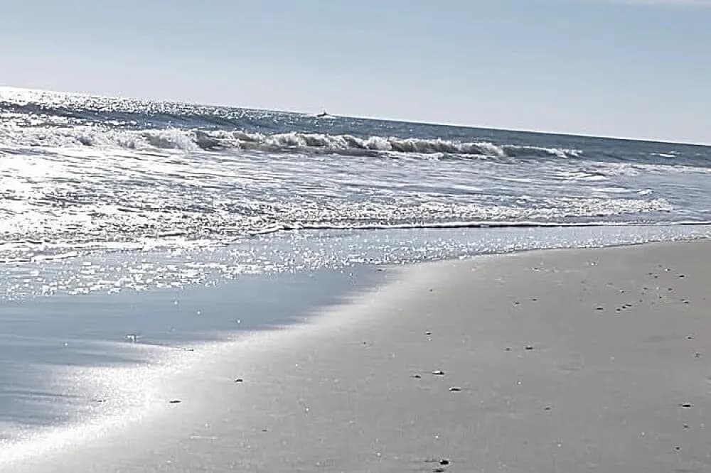 Jógový pobyt na 4 dny · South Carolina, USA