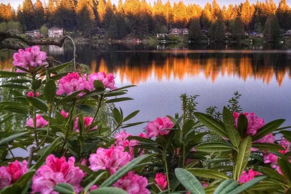 Pobyt na 3 dny · Woodinville, USA