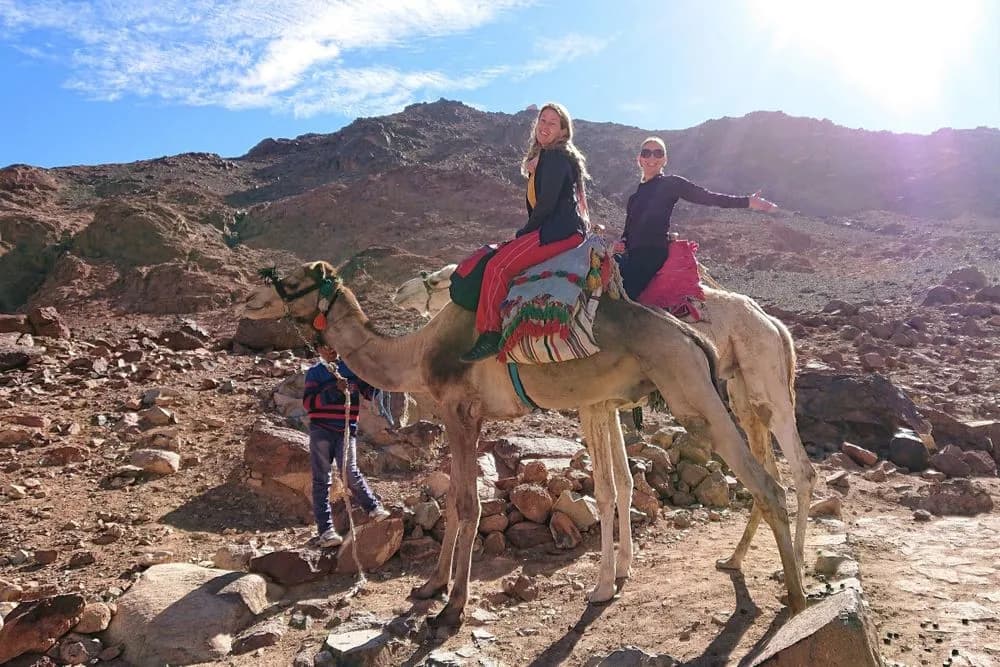 Jógový pobyt na 6 dní · South Sinai, Egypt