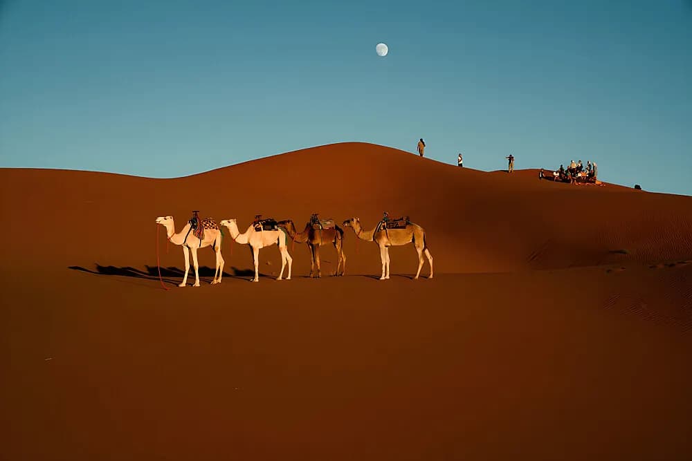 Luxusní jógový pobyt na 10 dní · Marrakesh, Maroko