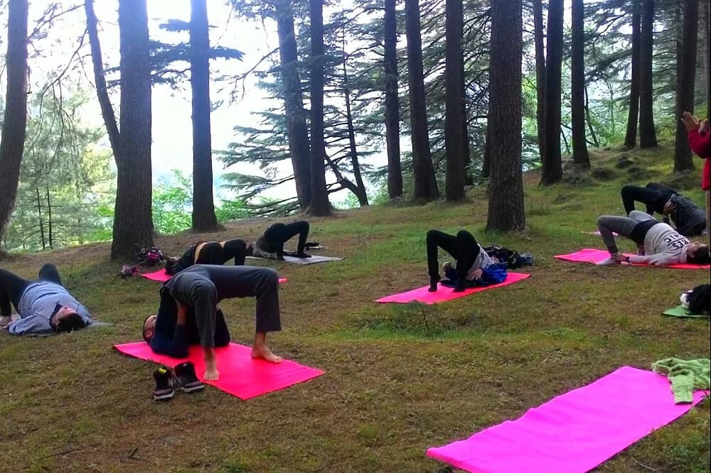 Jógový pobyt s detoxem na 6 dní · Dharamshala, Indie