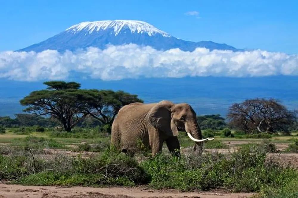 Pobyt na 6 dní · Arusha, Tanzanie