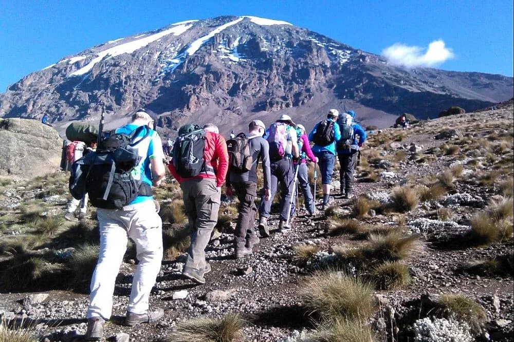 Pobyt na 8 dní · Lemosho Route, Tanzanie