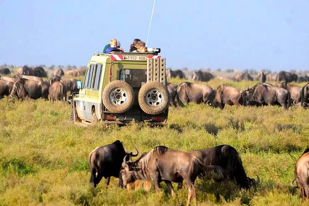 Pobyt na 8 dní · Serengeti National Park, Tanzanie