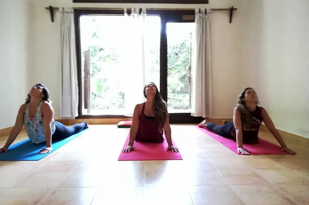Jógový pobyt s meditací na 21 dní · Dharamshala, Indie