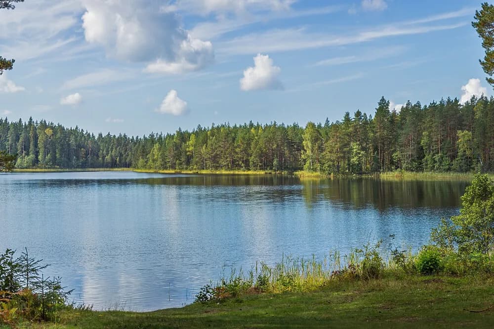 Meditační pobyt v tichu na 8 dní · Hoisdorf, Německo