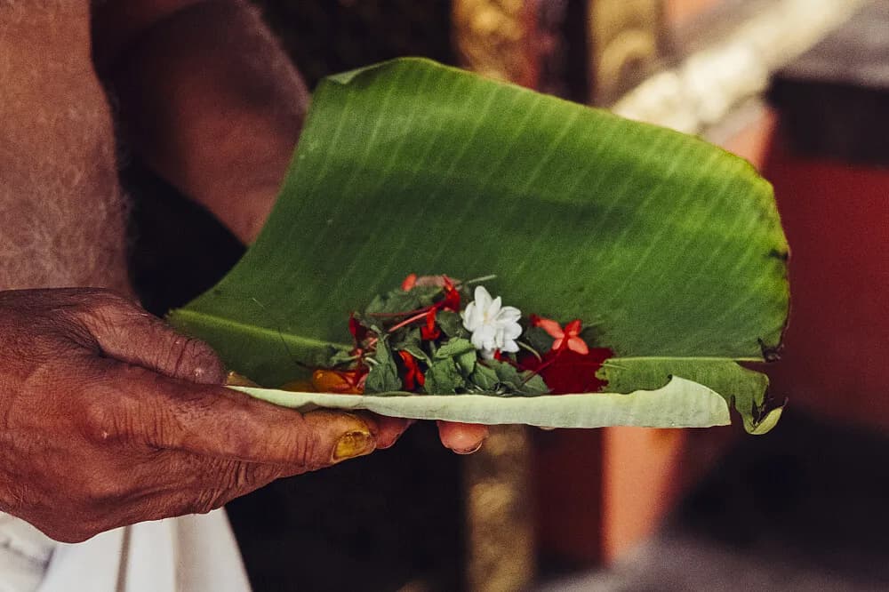 Pobyt se psaním na 6 dní · Kerala, Indie
