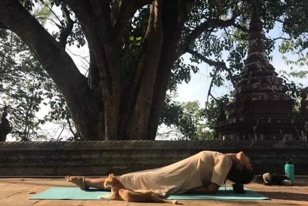 Meditační pobyt na 30 dní · Phnom Penh, Kambodža