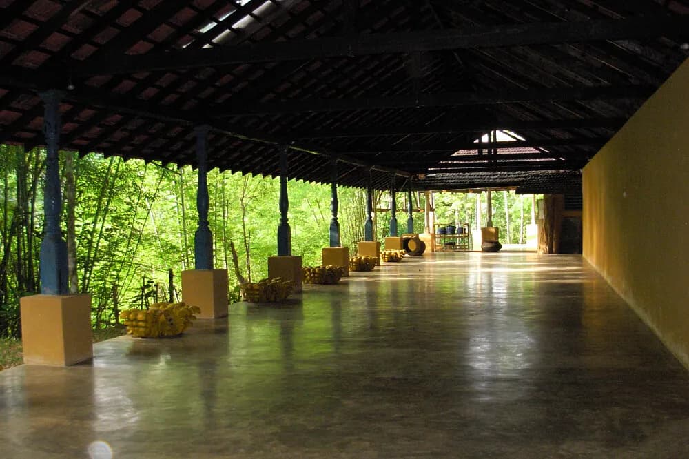 Jógový pobyt na 8 dní · Kandy, Srí Lanka