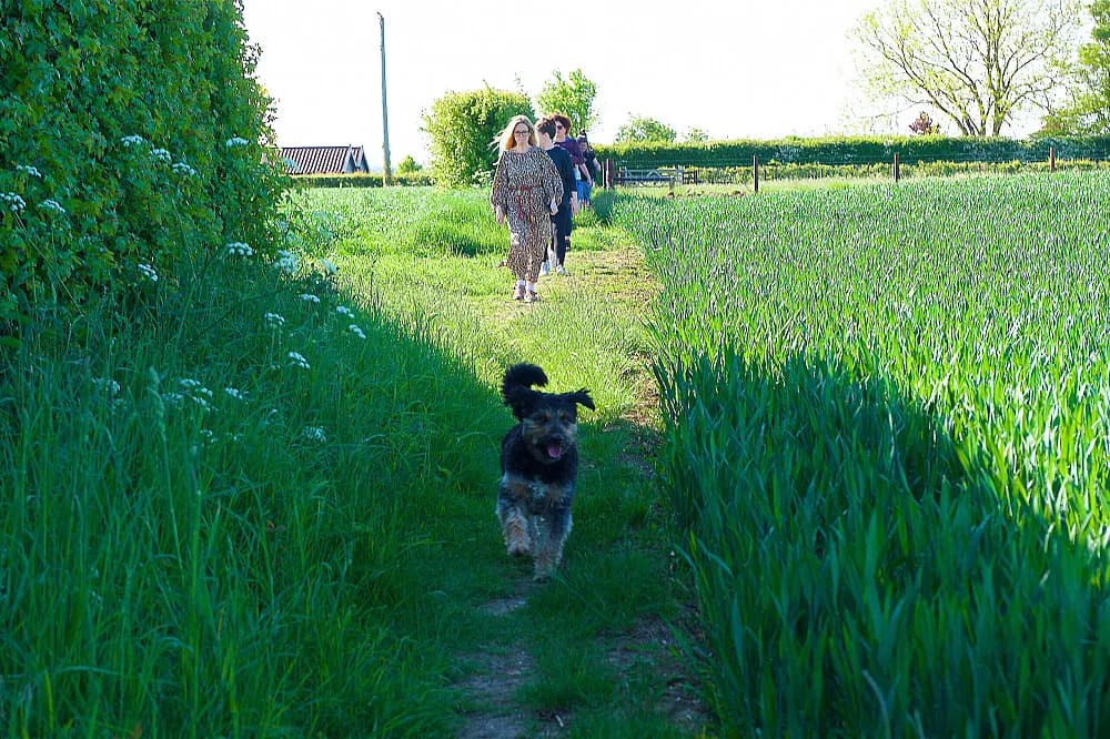 Wellness pobyt na 3 dny · Suffolk, Velká Británie