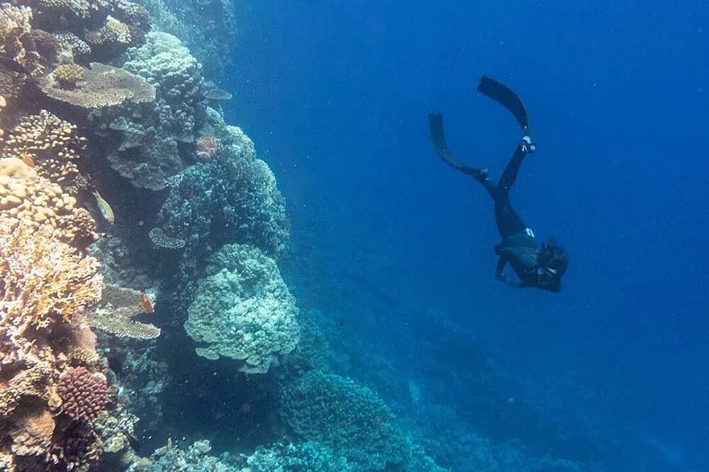Jógový pobyt s tancem na 6 dní · Hurghada, Egypt