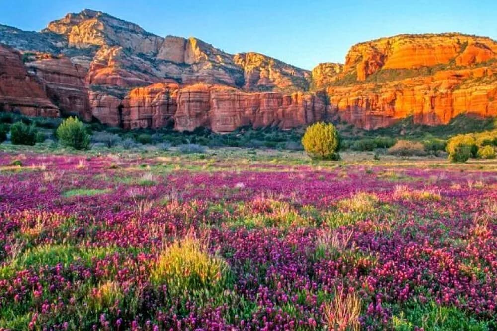 Jógový pobyt pro ženy na 5 dní · Sedona, USA