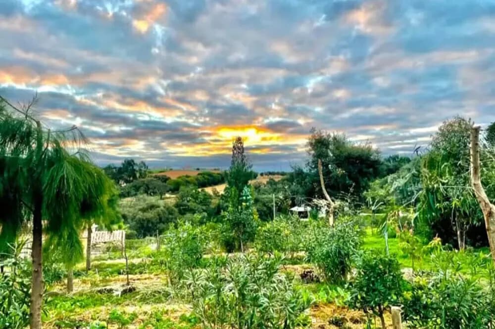 Wellness pobyt na 5 dní · Portugalsko
