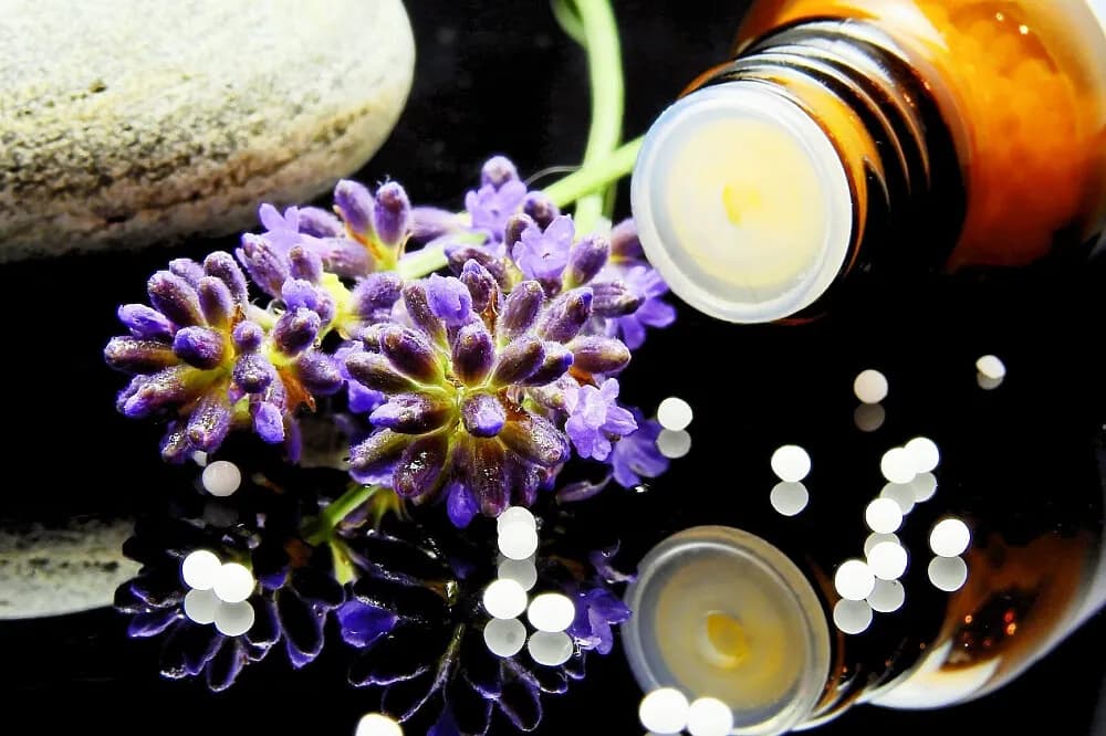 Wellness pobyt na 5 dní · Buckfastleigh, Velká Británie