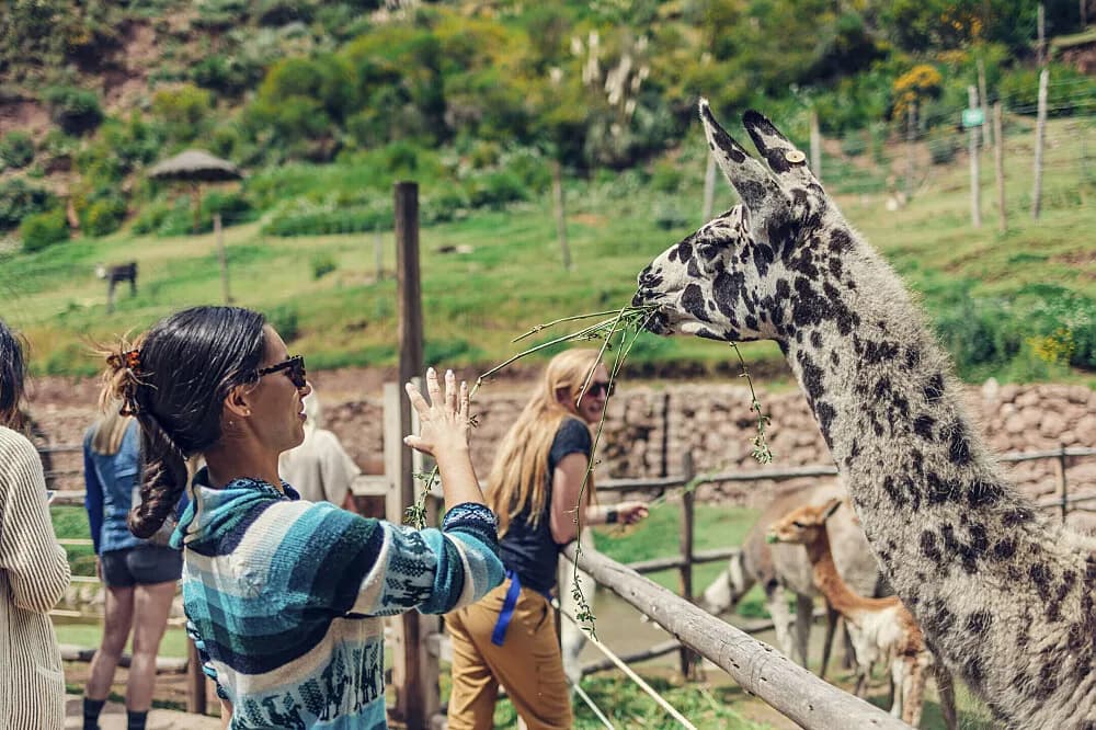 Jógový pobyt na 2 dny · Písac, Peru