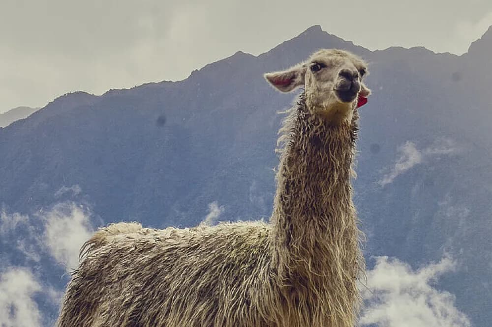 Pobyt s turistikou na 4 dny · Cusco, Peru