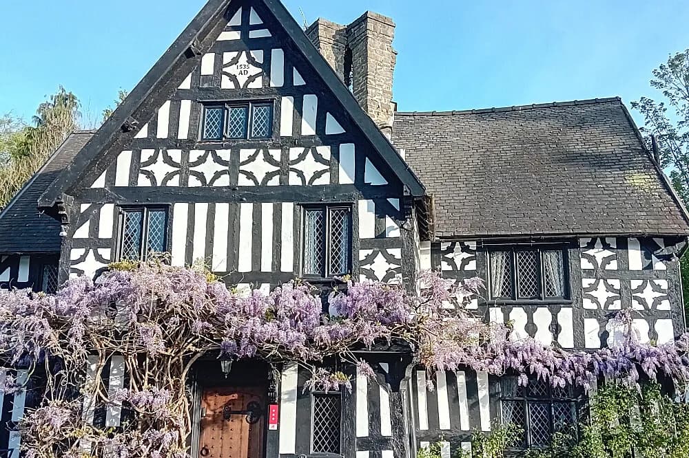 Wellness pobyt proti vyhoření na 8 dní · Caersws, Velká Británie
