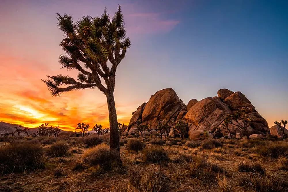 Pobyt na 3 dny · Twentynine Palms, USA