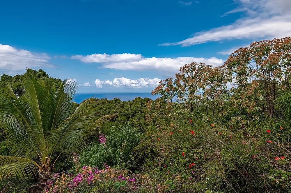Wellness pobyt na 7 dní · Kealakekua Bay, USA