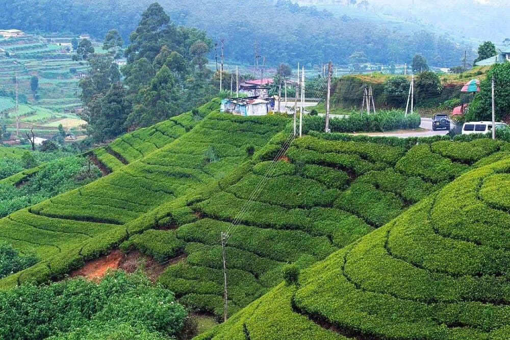Jógový pobyt na 7 dní · Dharga Town, Srí Lanka