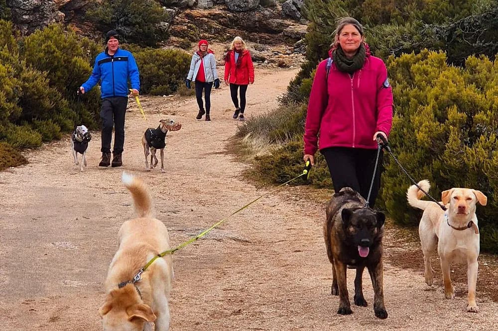 Wellness pobyt s turistikou na 5 dní · Melo, Portugalsko