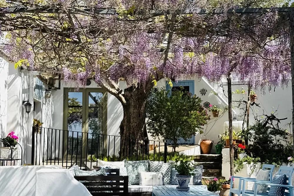 Wellness pobyt na 6 dní · Las Barreras, Španělsko