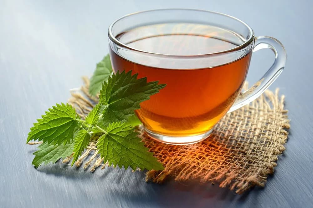 Jógový pobyt s detoxem na 5 dní · Riyadh, Saúdská Arábie