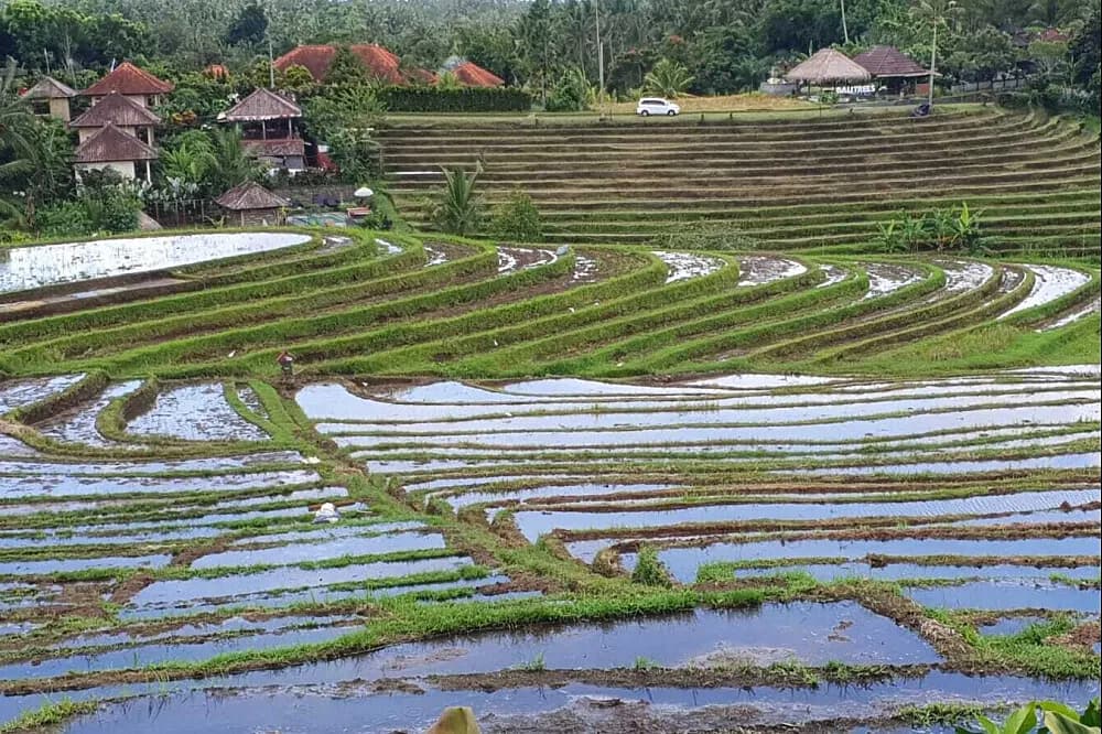 Jógový pobyt s meditací na 6 dní · Bali, Indonésie
