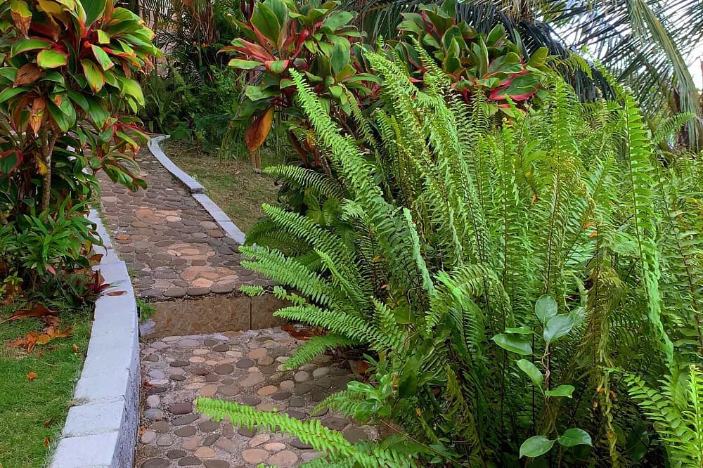 Wellness pobyt na 7 dní · Port Antonio, Jamajka