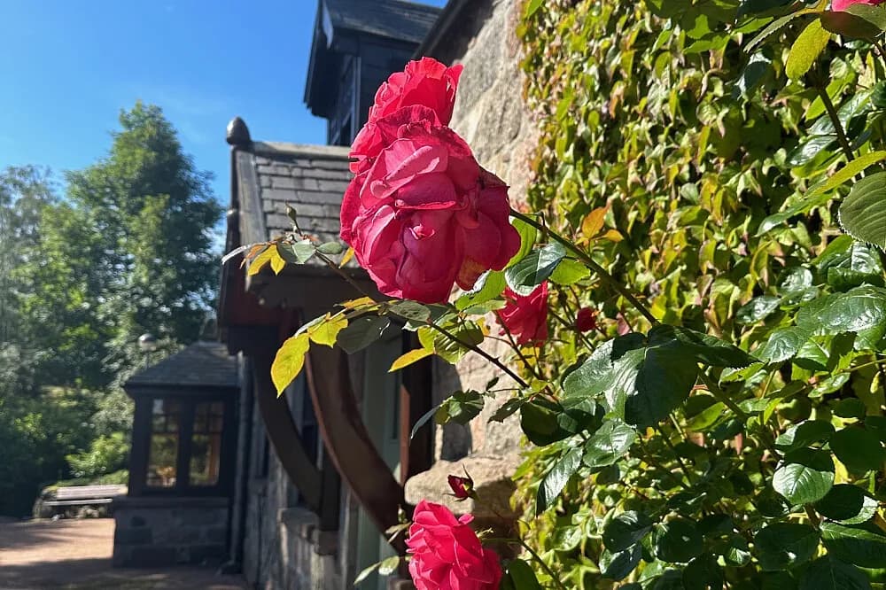 Wellness pobyt na 3 dny · Aberdeenshire, Velká Británie