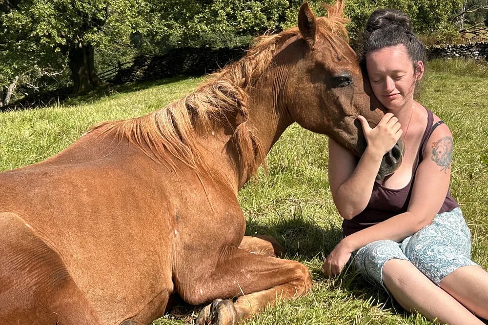 Meditační pobyt v tichu na 6 dní · Arnside, Velká Británie