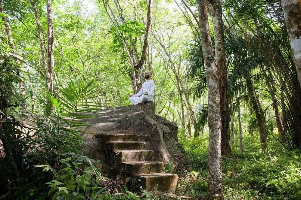 Jógový pobyt s meditací na 10 dní · Thudugala, Srí Lanka