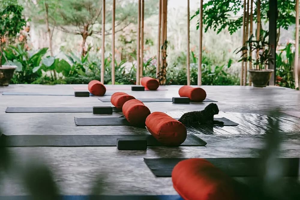 Kurz učitelů jógy – jin jóga na 5 dní · Ubud, Indonésie