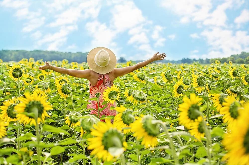Wellness pobyt na 3 dny · Greater Toronto Area, Kanada