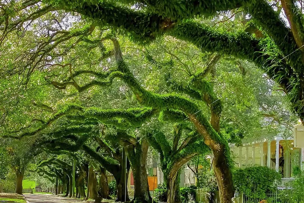 Jógový pobyt proti vyhoření na 5 dní · Fairhope, USA