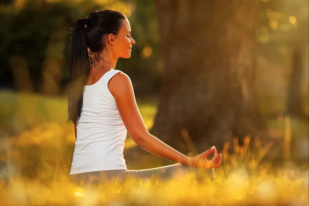 Meditační pobyt proti vyhoření na 6 dní · Hoisdorf, Německo