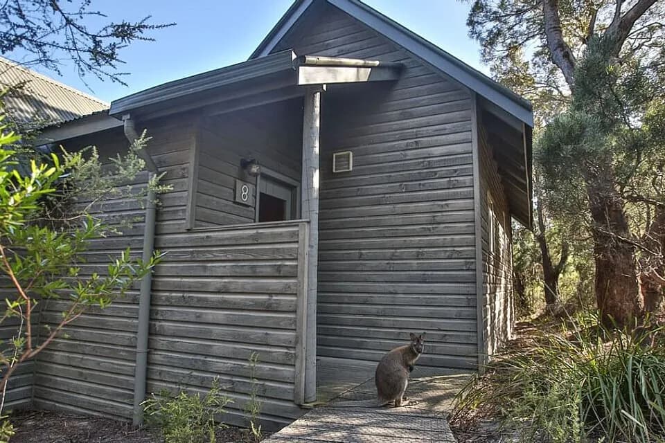 Jógový pobyt na 4 dny · Coles Bay, Austrálie
