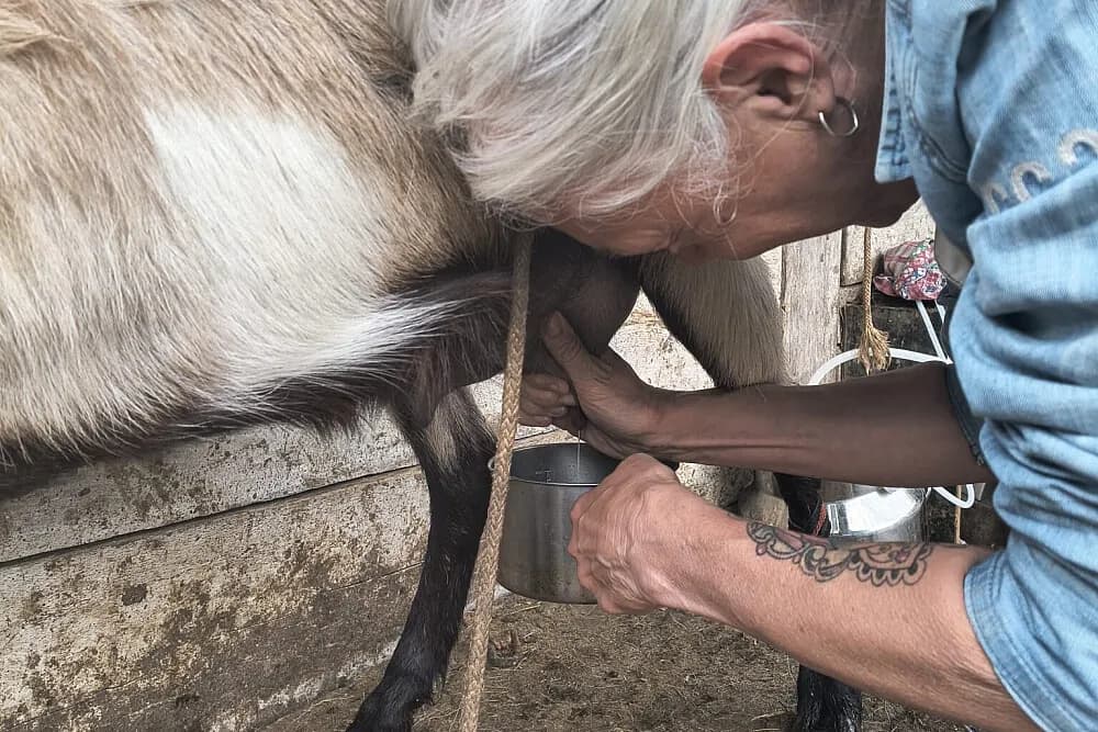 Wellness pobyt na 7 dní · Obârșia, Rumunsko