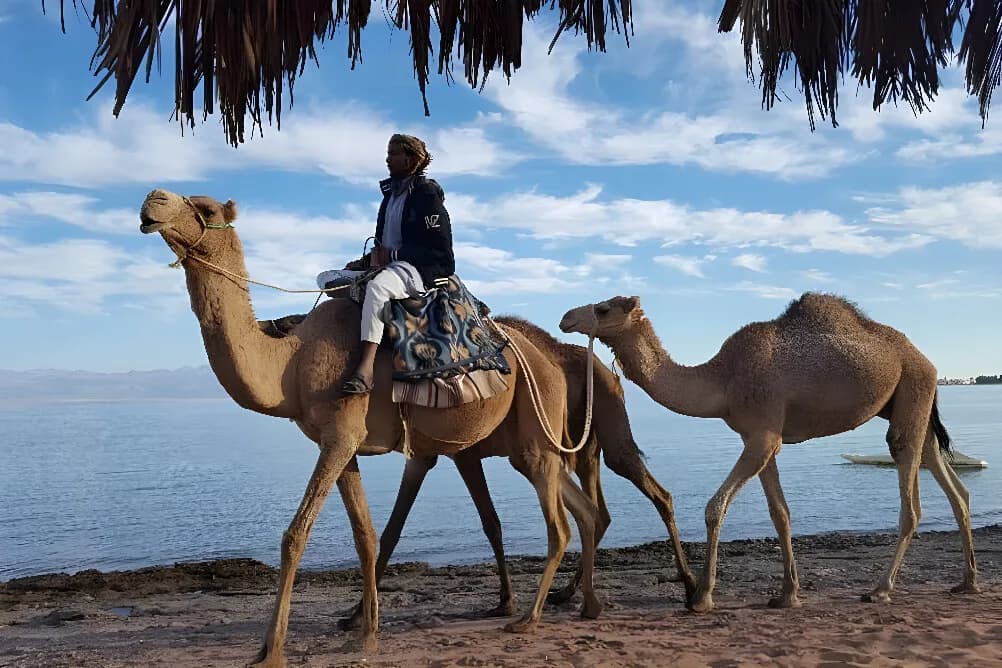 Jógový pobyt na 5 dní · Nuweibaa, Egypt