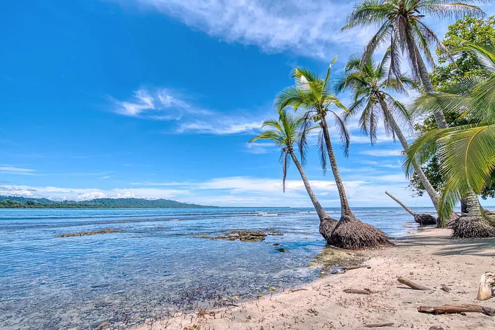 Wellness pobyt na 7 dní · Playa Cocles, Kostarika