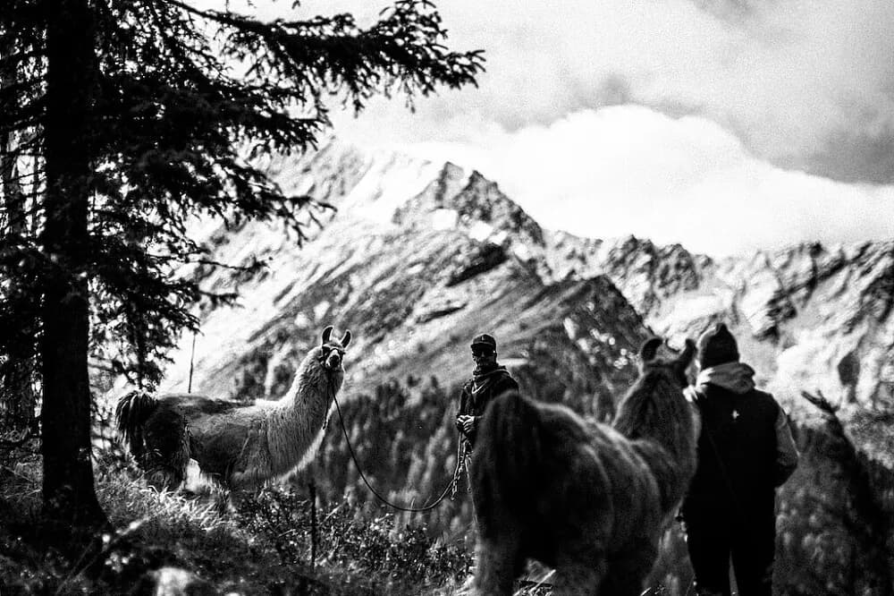 Pobyt s turistikou na 5 dní · Serfaus, Rakousko