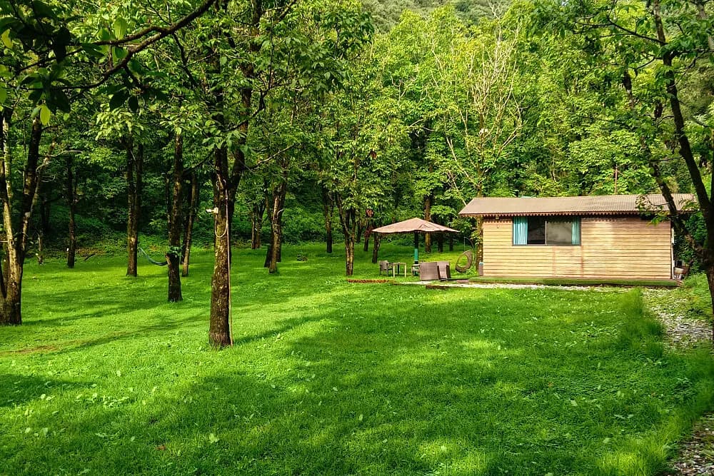 Jógový pobyt s detoxem na 5 dní · Mussoorie, Indie