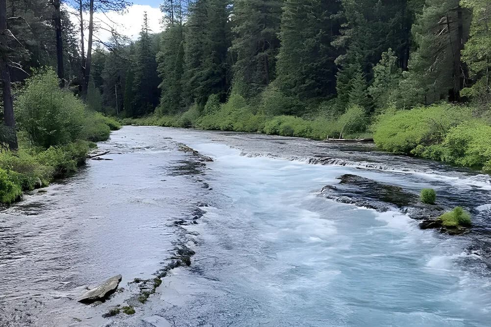 Jógový pobyt s turistikou na 4 dny · McKenzie Bridge, USA