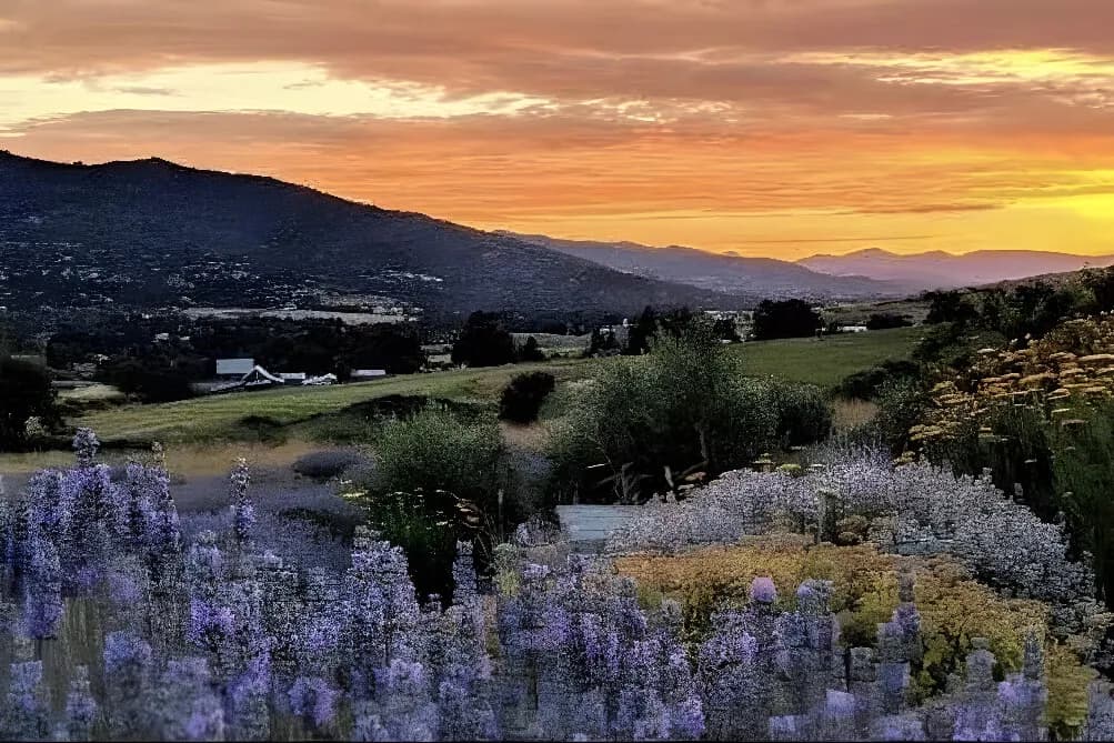 Wellness pobyt na 5 dní · Ashland, USA
