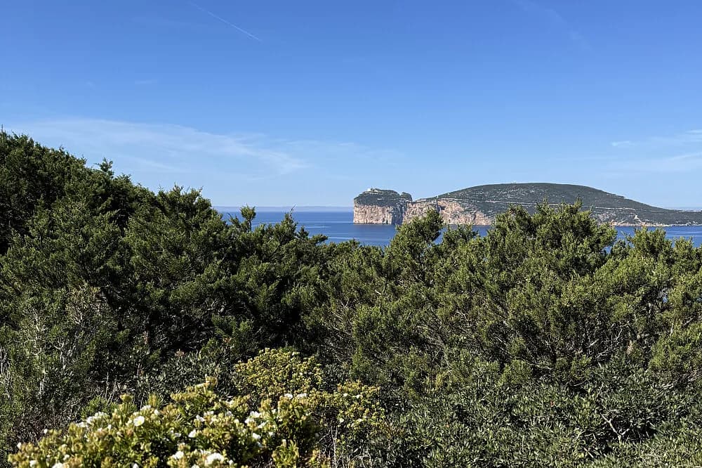 Jógový pobyt s uměním na 5 dní · Alghero, Itálie