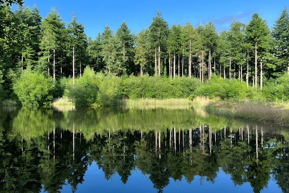 Pobyt na 4 dny · Somerset, Velká Británie