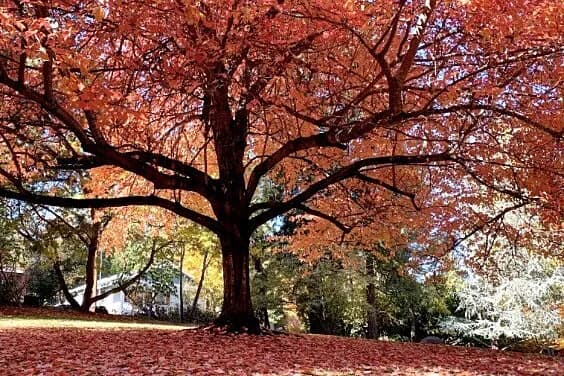 Jógový pobyt na 4 dny · Portland, USA