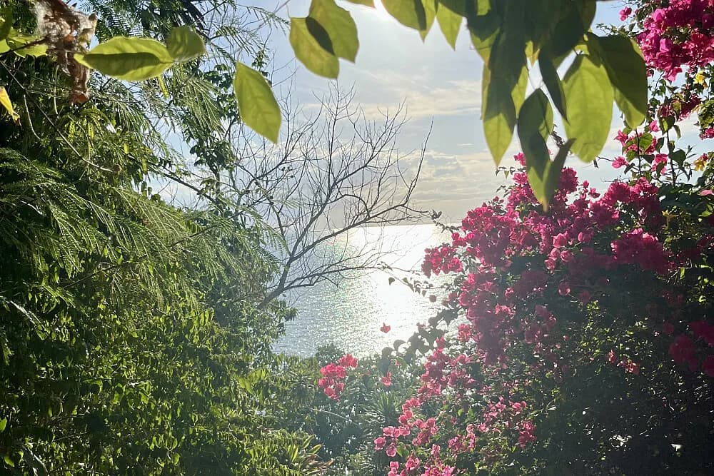 Jógový pobyt s tancem na 4 dny · Surat Thani, Thajsko