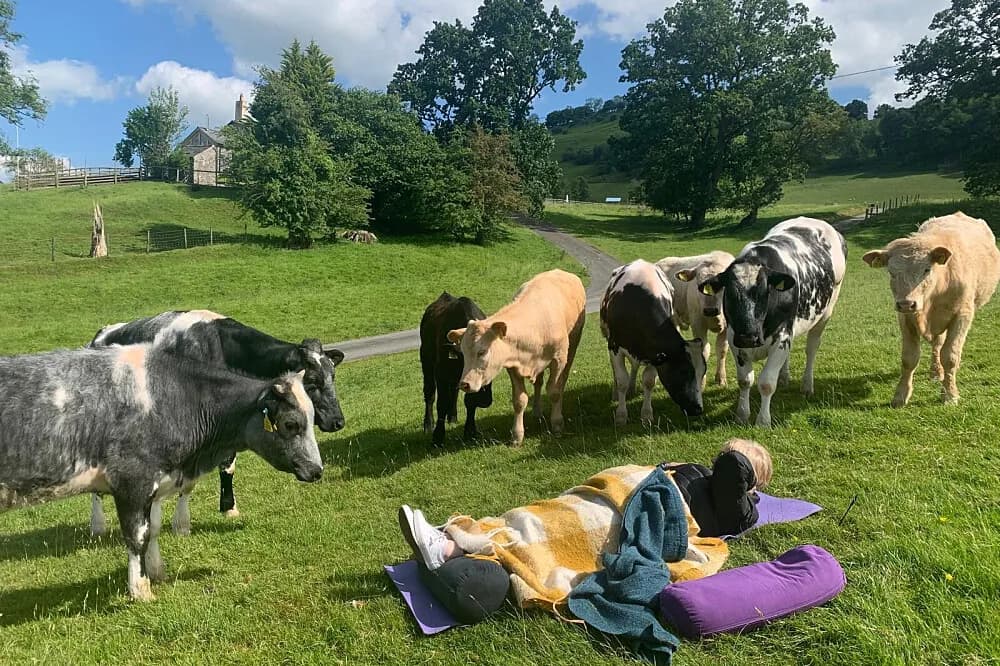 Jógový pobyt s dechovými technikami na 6 dní · Llanrhaeadr-ym-Mochnant, Velká Británie